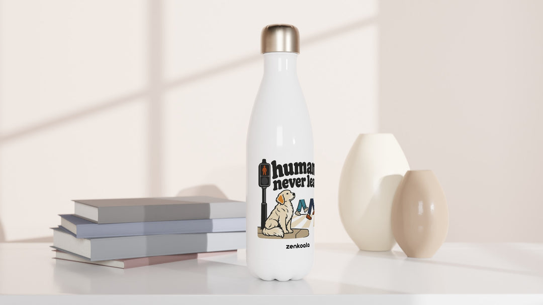 Humans Never Learn water bottle beside books and vases, Zen Koala Australia